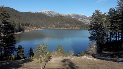 Drone-Pasando-A-Través-De-árboles-Revelando-Un-Lago-De-Montaña-Soleado-Día-De-Invierno