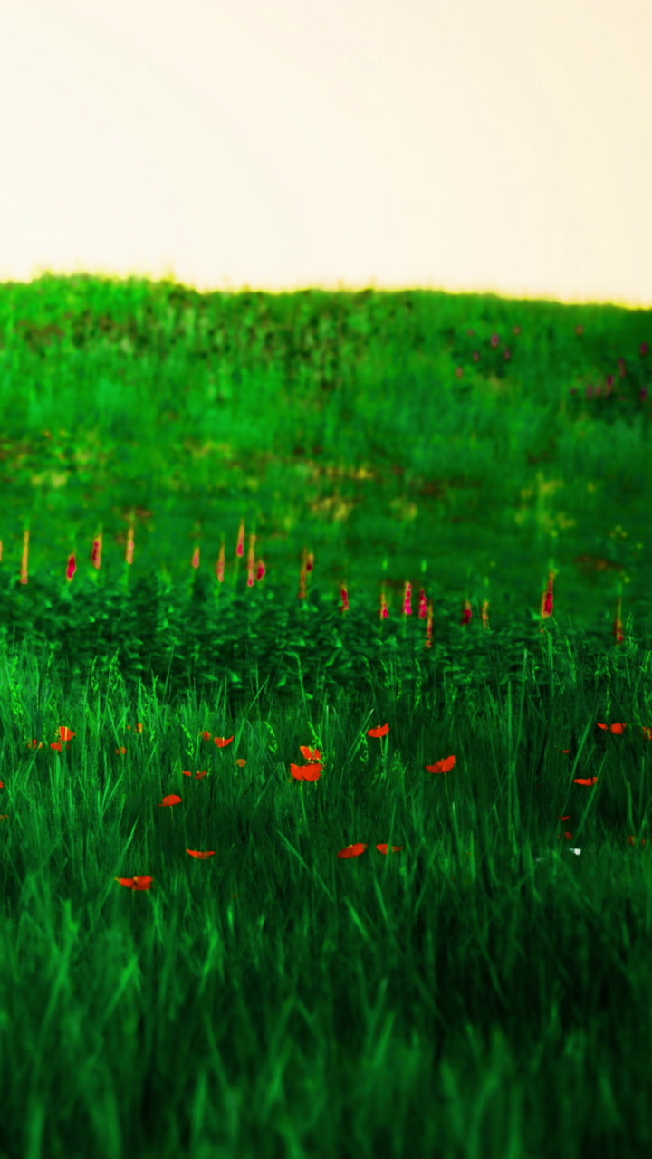 Lush green meadow adorned with vibrant flowers under a soft golden light