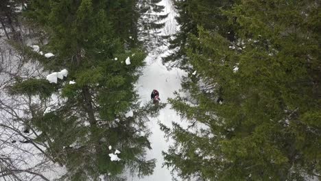 pareja joven caminando juntos en el bosque de invierno cubierto de nieve y besándose