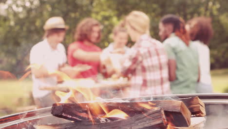 In-Zeitlupe-Glückliche-Freunde-Im-Park-Beim-Mittagessen