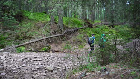 Tres-Excursionistas-Por-Un-Sendero-De-Montaña-En-El-Bosque.