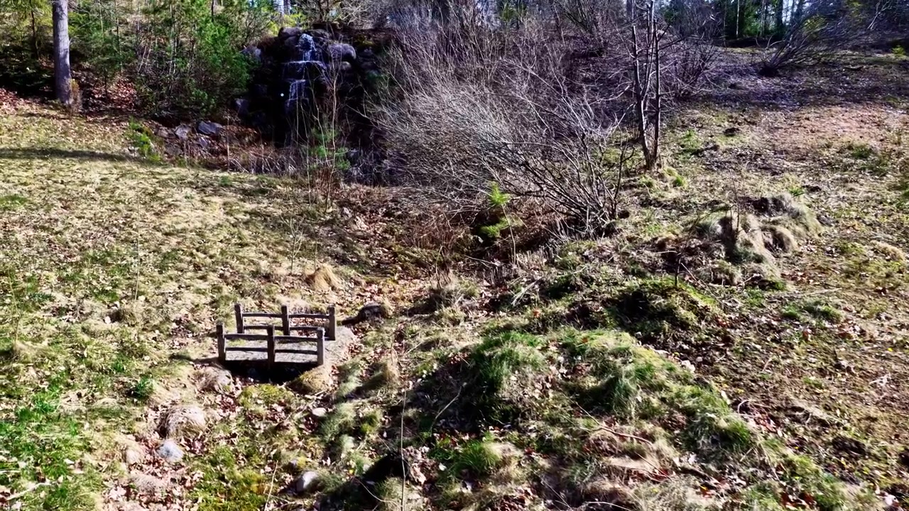 Campo erboso aperto con alberi sparsi e terreno asciutto in un paesaggio naturale rurale