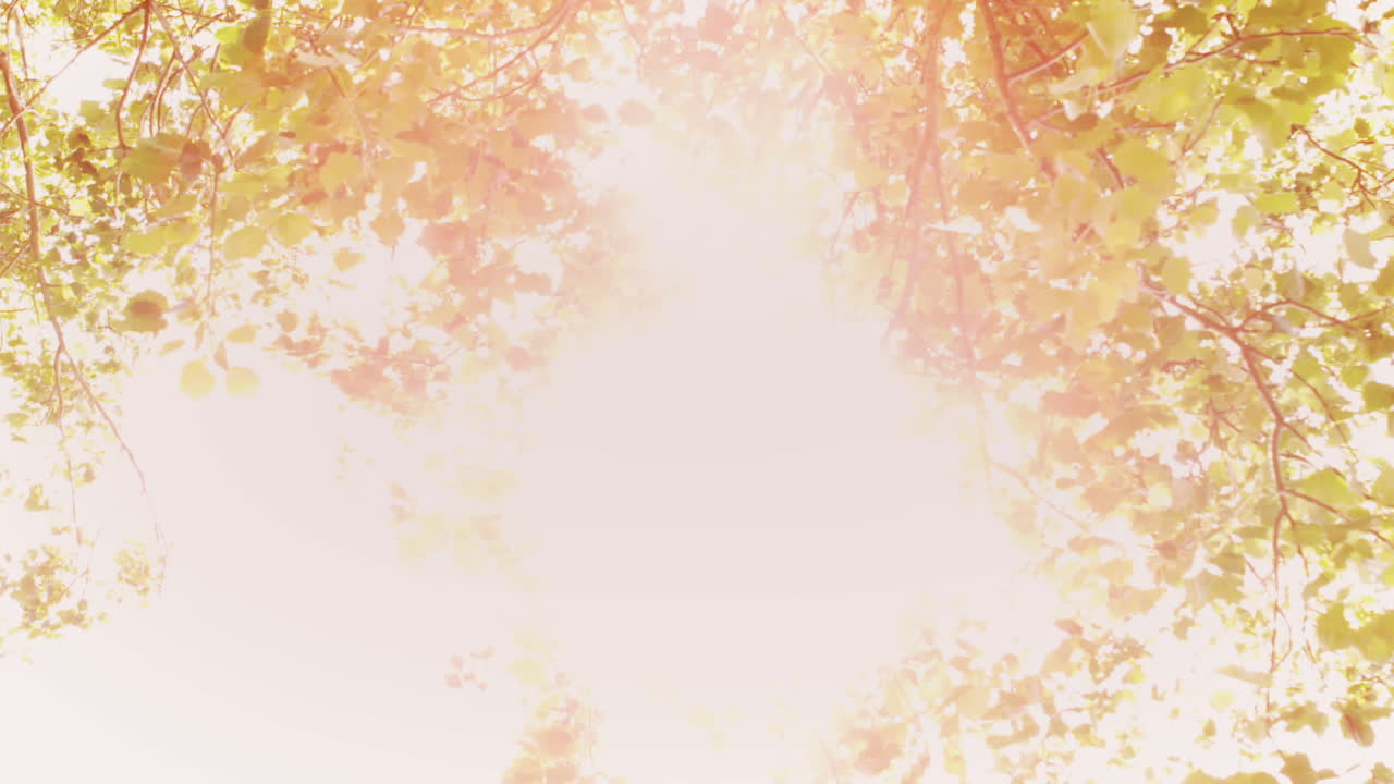 느린 동작의 공원