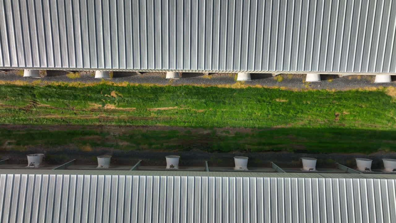 granjas industriales para operaciones de pollos avícolas