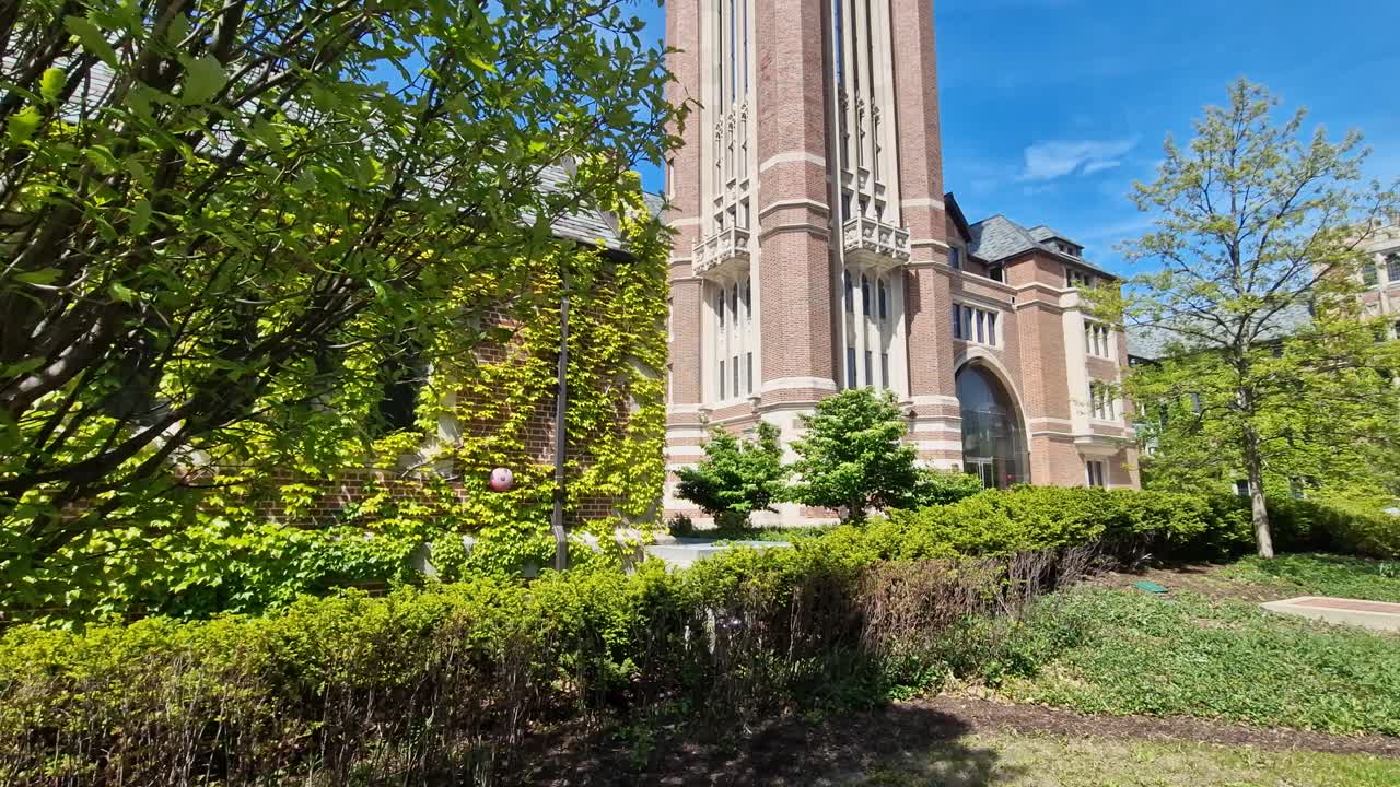 University of Chicago USA, Tower in Saieh Hall For Economics, Vines and Green Trees on Sunny Spring Day