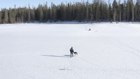 Luftdrohnenaufnahme-Eines-Mannes,-Der-Mit-Seinem-Hund-In-Einer-Gefrorenen-Landschaft-Spaziert