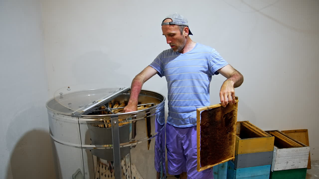 Beekeeper Extracting Honey