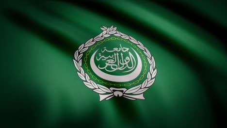 flag of the organization of islamic cooperation