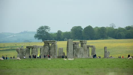 stonehenge 06