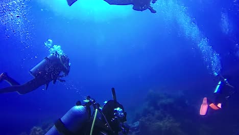 a group of scuba divers swimming through the open blue