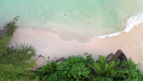 bird-eye-reveal-drone-footage-of-white-sandy-beach,-calm-turquoise-ocean-with-granite-stones,-Mahe,-Seychelles-60fps