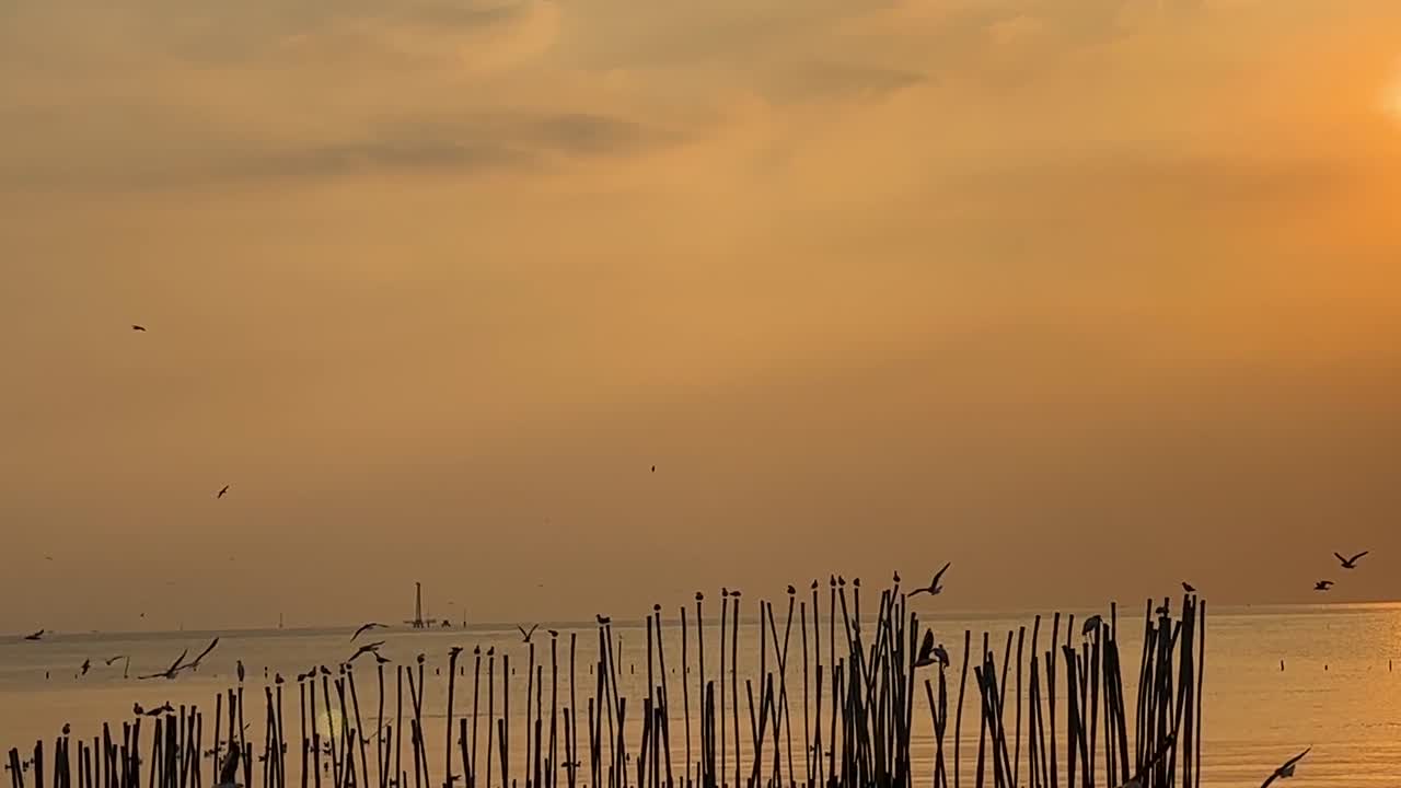Birds glide over a serene water scene with bamboo poles silhouetted against a golden sunset sky.