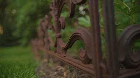 rack focus down small rustic gate in a lush backyard