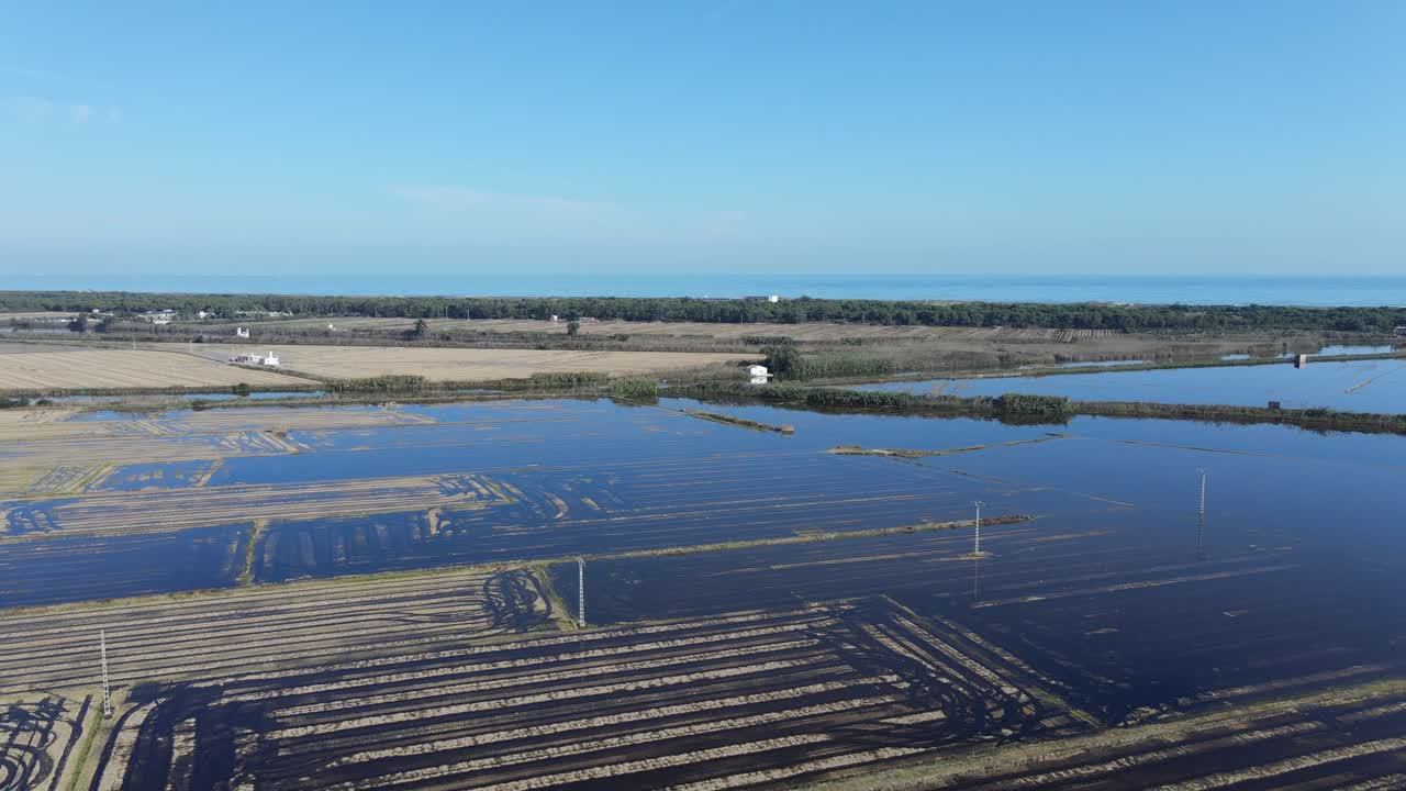 Flooded Rice Paddies in the Italian Delta