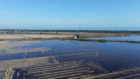 flooded rice paddies in the italian delta