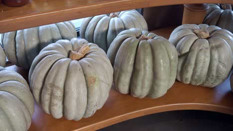 large light gray pumpkins on a wooden shelf