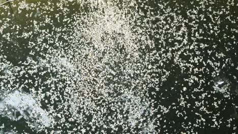 water feature with falling particles