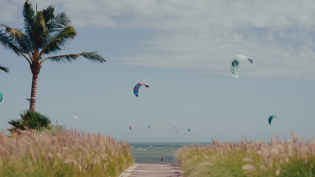 Boardwalk path leading to the ocean with kites flying over the water under a clear sky