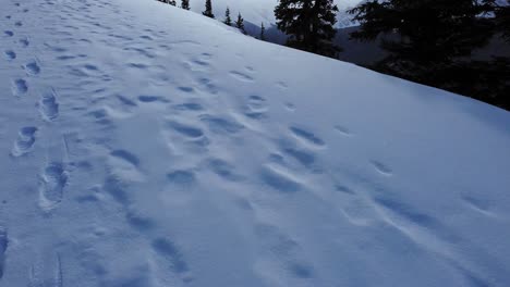 Montaña-Y-Valle-Con-Huellas-De-Nieve-Reveladas