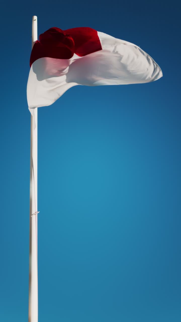 La bandiera di Monaco che sventola con il cielo blu sullo sfondo. Verticale