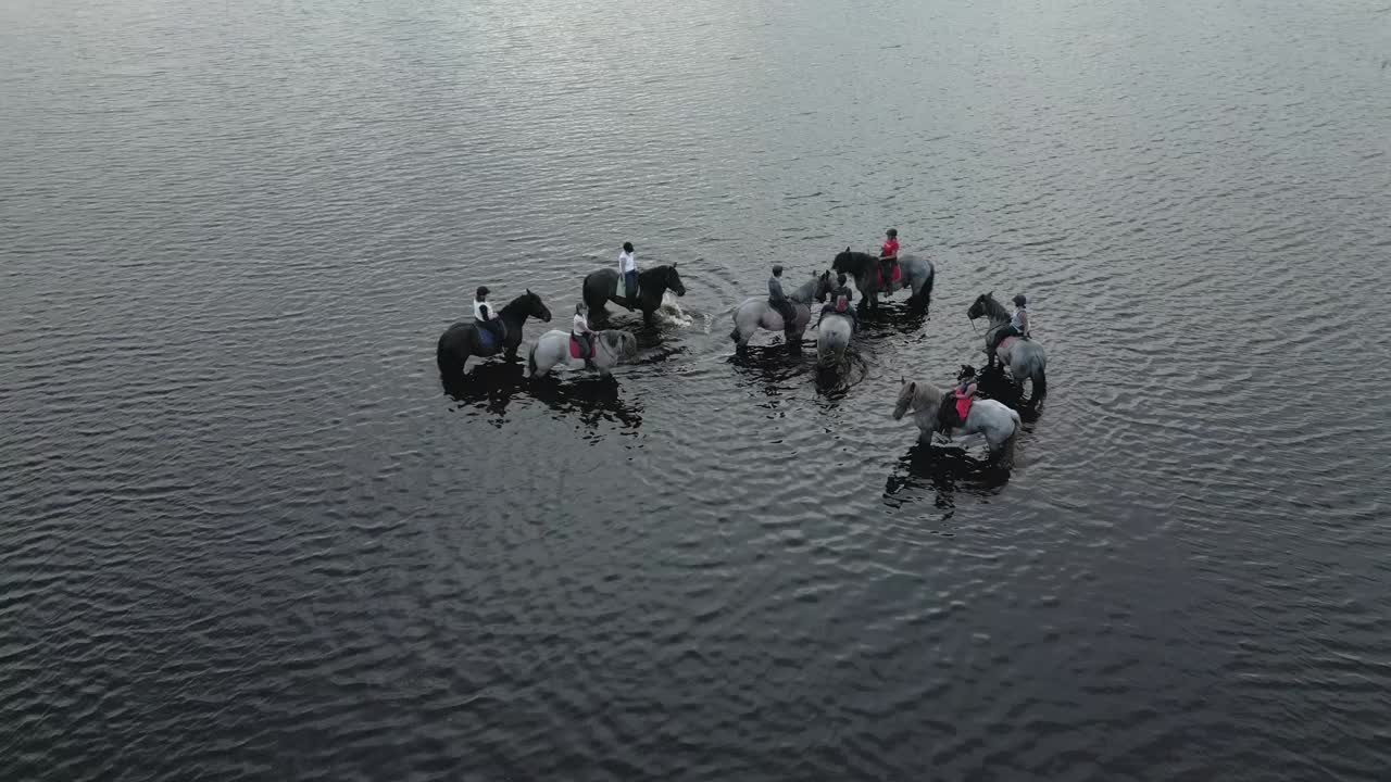 Gruppe af percheron-hesteryttere står med deres heste i vandet ved en sø, luftfoto.