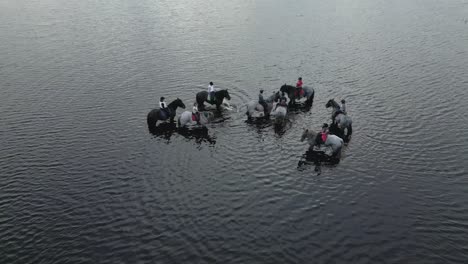 group-of-percheron-horse-riders-stand-with-their-horse-in-the-water-at-a-lake-areal-shot