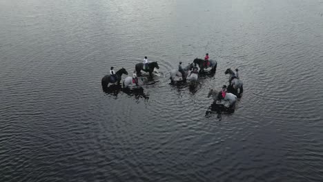 grupo de jinetes de percheron de pie con su caballo en el agua en un lago areaal tiro
