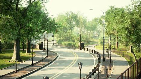 asphalt road and green trees in park