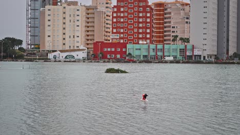 Grupo-De-Flamencos-En-Un-Pequeño-Lago-Artificial-En-El-Centro-De-La-Ciudad-En-Otoño,-Caminando-Y-Volando