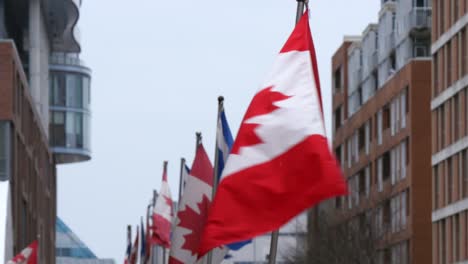 ondeando la bandera canadiense