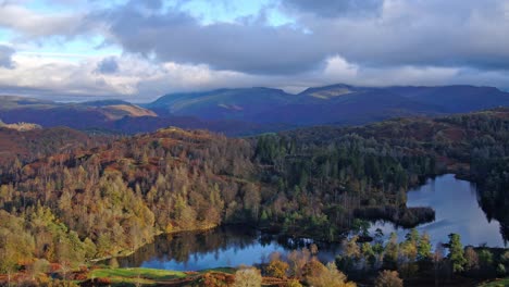 Lake-District-Unesco-National-Park---Tarn-Hows,-In-Der-Nähe-Von-Coniston,-Fly-Over---Prores-422hq-DJI-Inspire-2