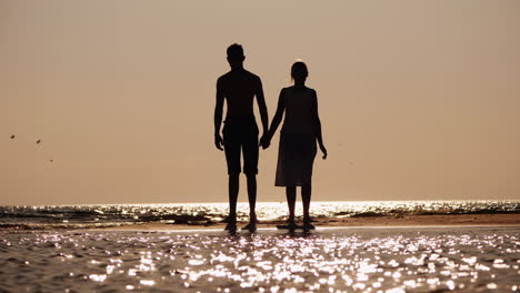 silhouettes of a young couple in love standing near the sea at sunset