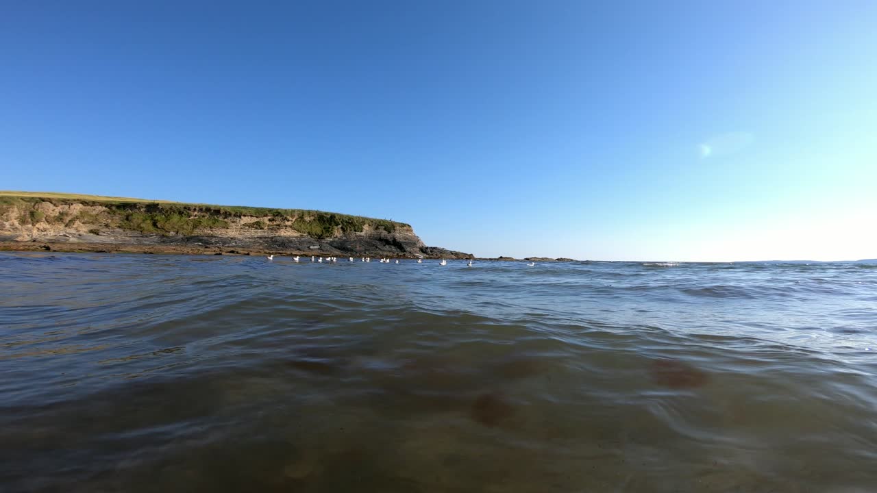 절벽을 배경으로 물 위의 여름 파도와 해양 조류의 매끄러운 핸드헬드 영상