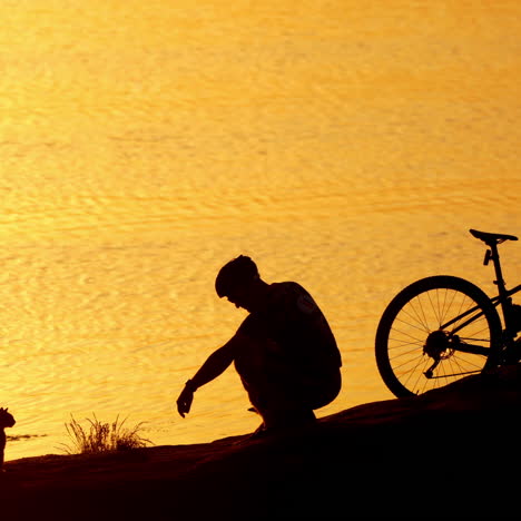 male cyclist with cats on orange water background at sunset. silhouette of a man sitting near the bike and three cats in the evening.