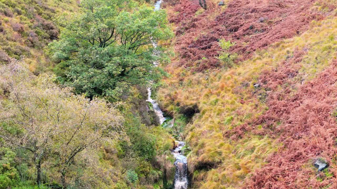 느리게 움직이는 모어랜드 하천은 페닌 모어에서 부드럽게 흐르고, 작은 폭포, 강 및 헤더 인 계곡과 함께 항공 드론 비디오