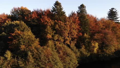 Luftaufnahme-Eines-Wunderschönen-Sees-Mit-Seevögeln-Und-Bäumen-Mit-Herbstfarben-In-Seeland,-Dänemark