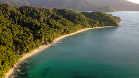 aerial view of a tropical beach with lush palm trees and turquoise water