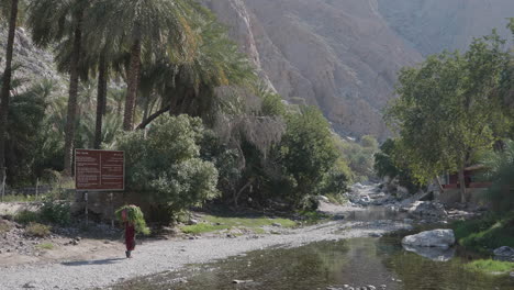 Woman-farmer-transporting-leaves,-Oman