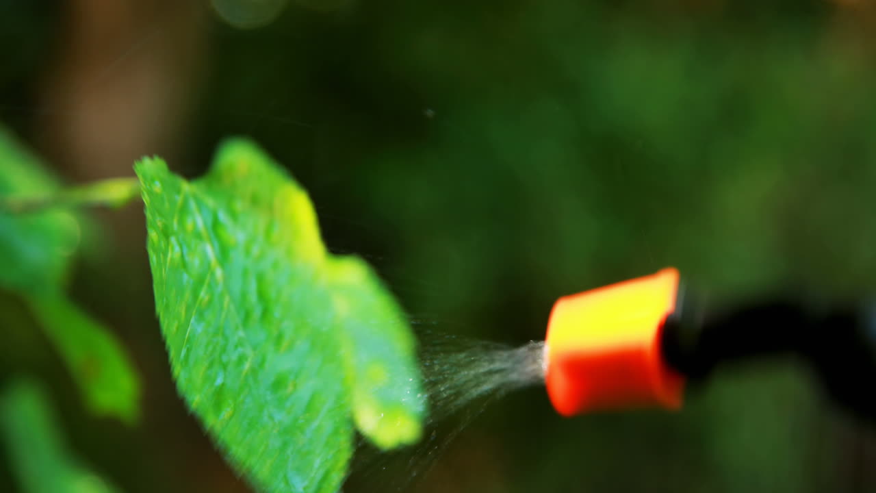 Close-up of pest control