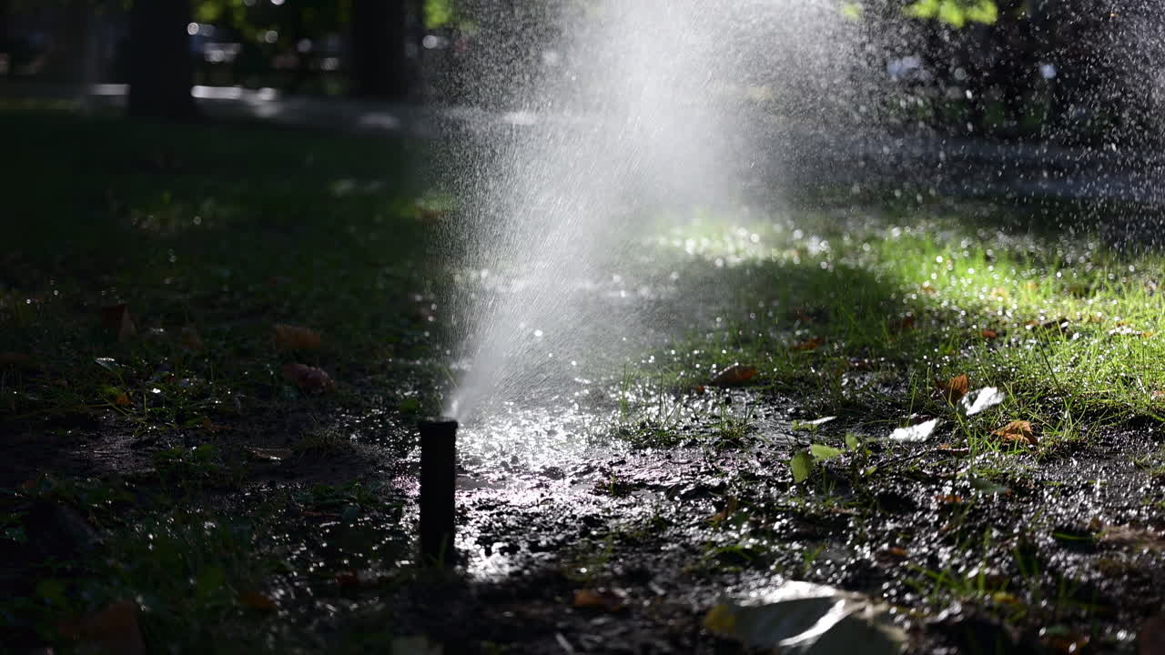 Lawn sprinkler spraying water with bright sun rays, creating sparkling reflections