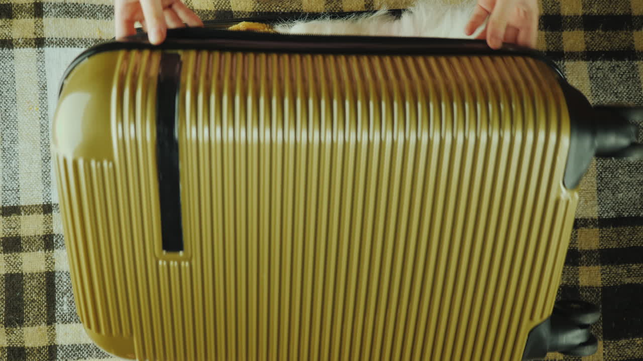 아이들의 손은 레저 개념 4k 비디오에 도착한 여행 가방에서 장난감을 꺼냅니다.