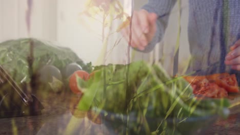 Animation-of-grass-over-caucasian-woman-chopping-vegetables-and-using-tablet-in-kitchen