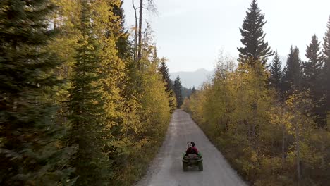 atv all terrain vehicle on backcountry forest country road, rear aerial view