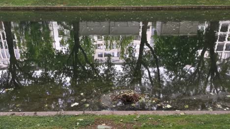 reflection from the part of the world famous kö in düsseldorf in the water of königsgraben