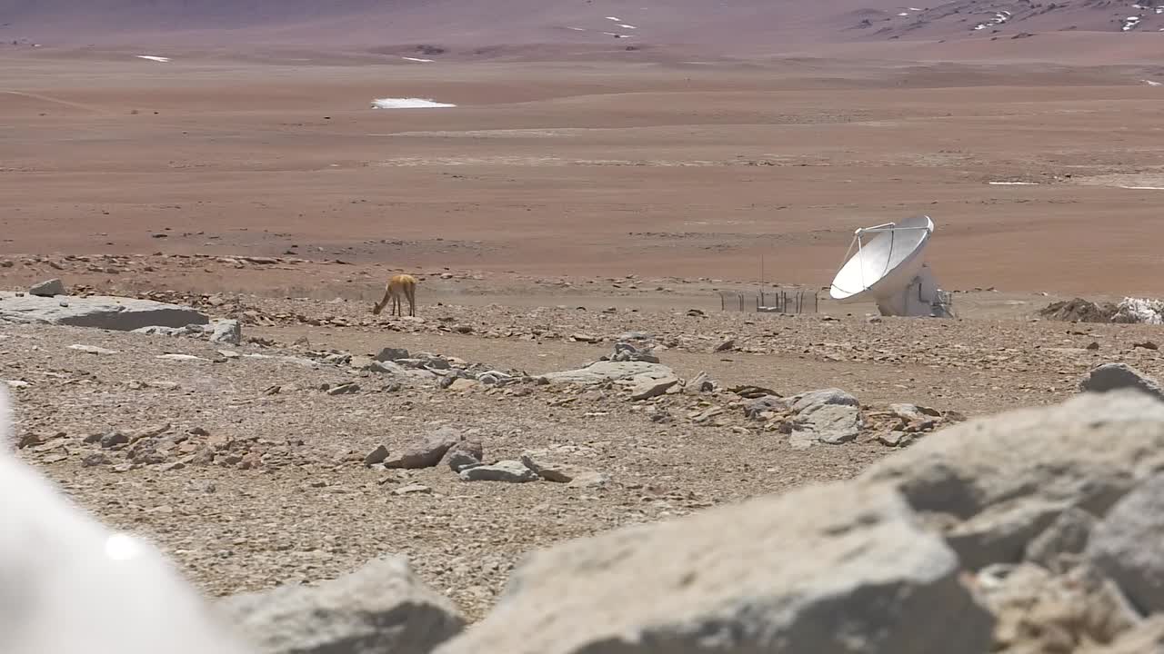 alma overvatory의 작은 망원경 옆에 있는 외로운 비쿠나