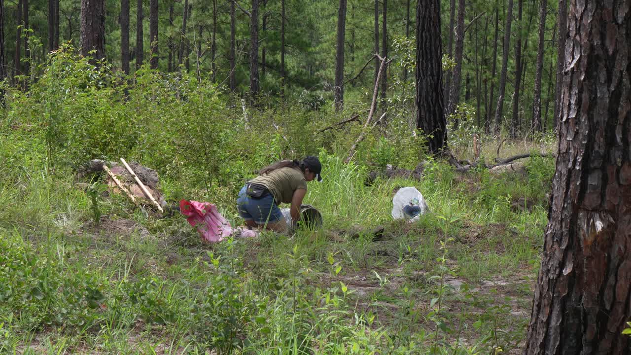 Young woman volunteer planting tree in dry ground concept of save nature against climate change environment conservation