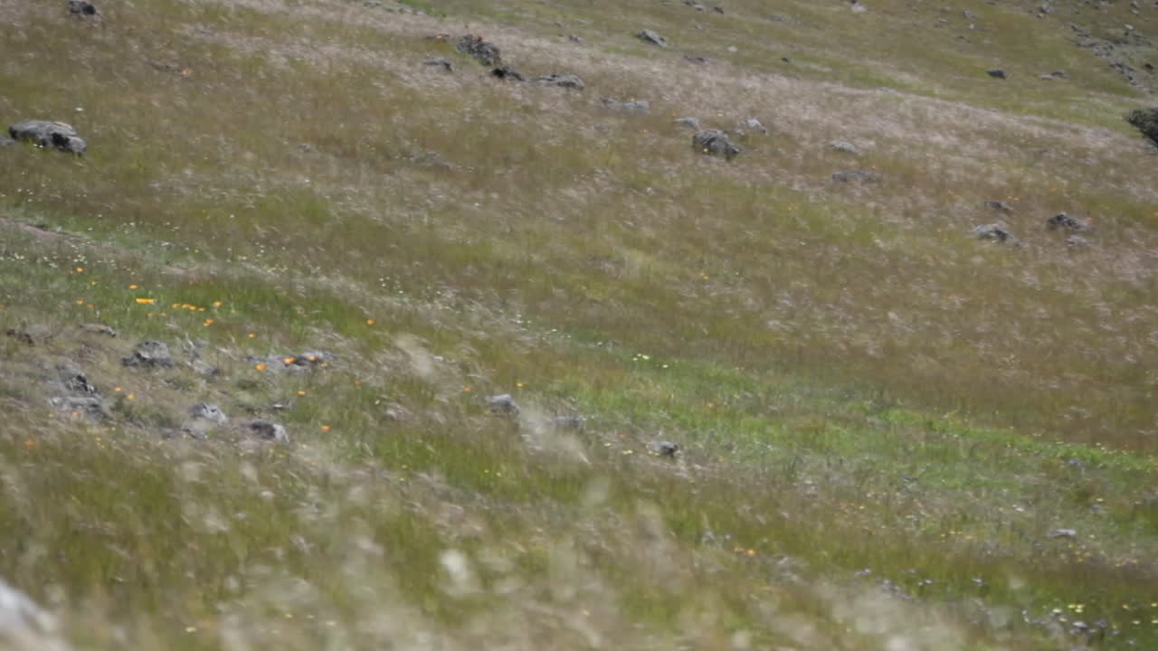 женщина бежит трусцой по неровной грунтовой дороге