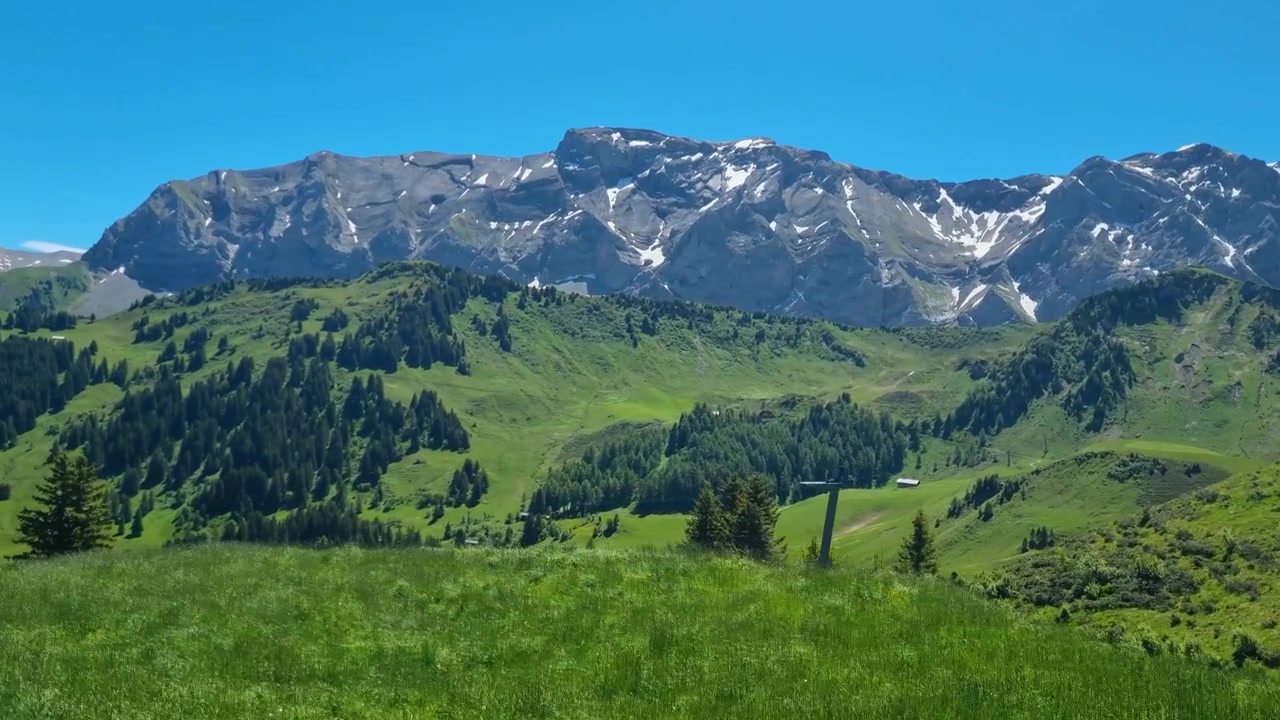 Panoramablick auf die Berner Oberland Alpen in der Schweiz, mit schneebedeckten Gipfeln, üppigen grünen Wiesen und malerischen Sommerwanderwegen unter einem klaren blauen Himmel, atemberaubende Naturschönheit.