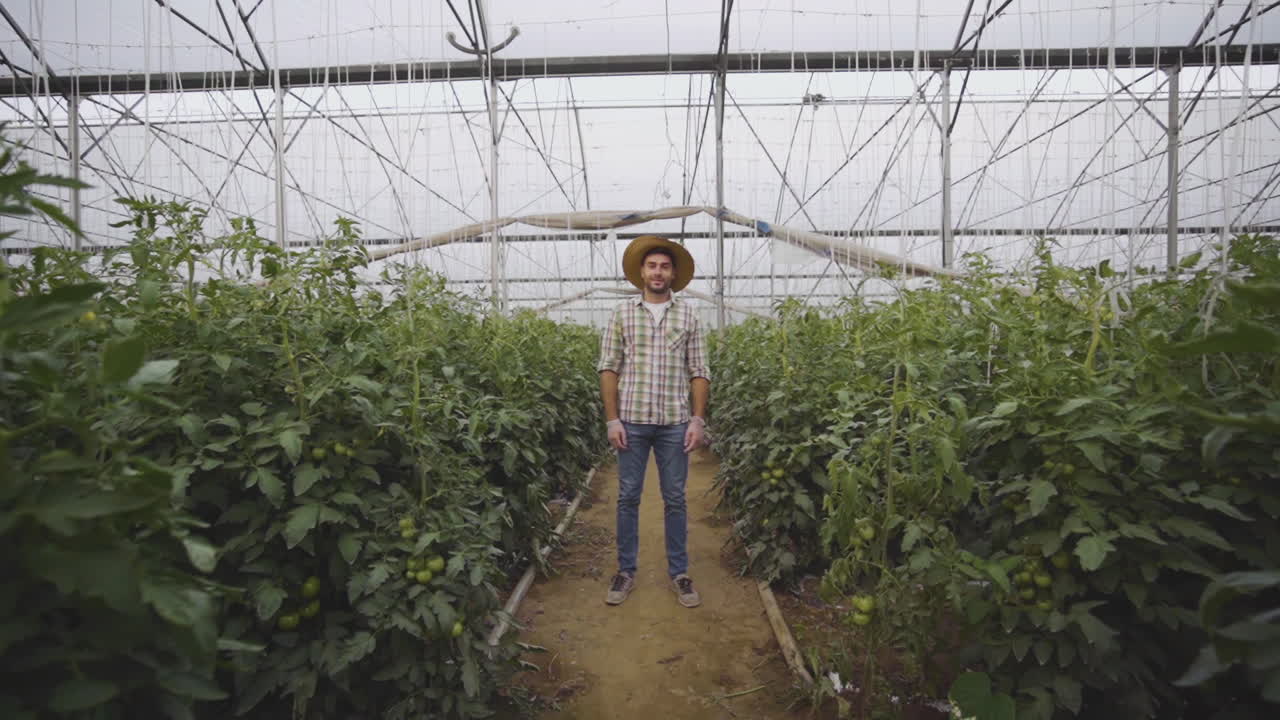 Farmer in a Greenhouse