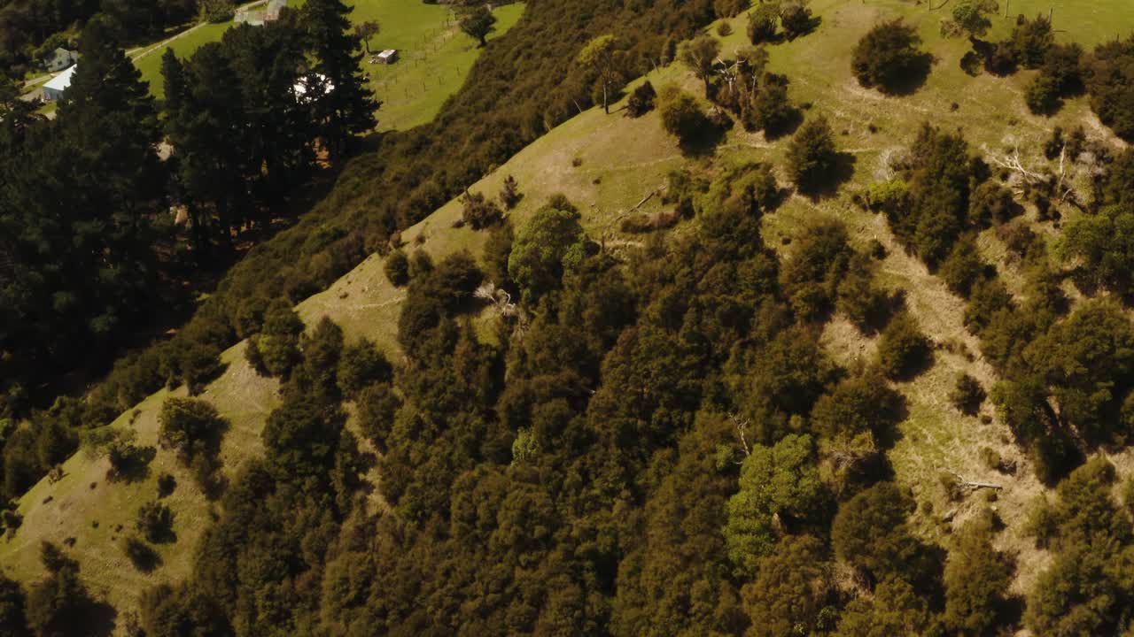 도로가 언덕을 오르는 언덕과 숲 드론 영상